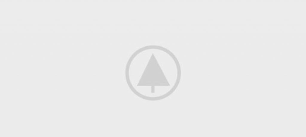 wood-gallery-placeholder-4 wood-gallery-placeholder-4